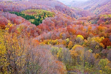 〈「從心出發，看自己也看世界」攝影展〉