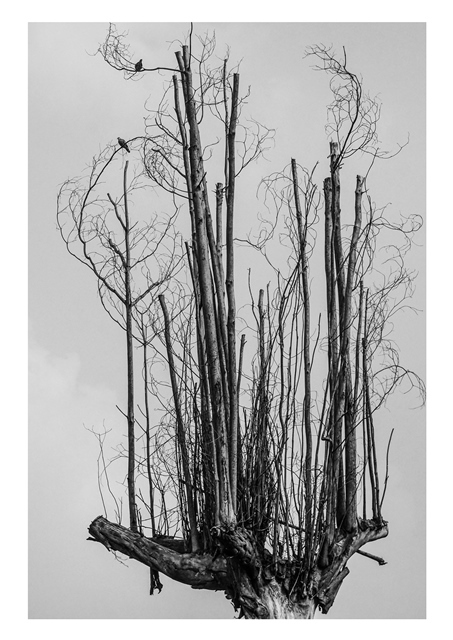 〈虛無---「再現與現象Representation & Phenomenon」蔡昌吉攝影展〉