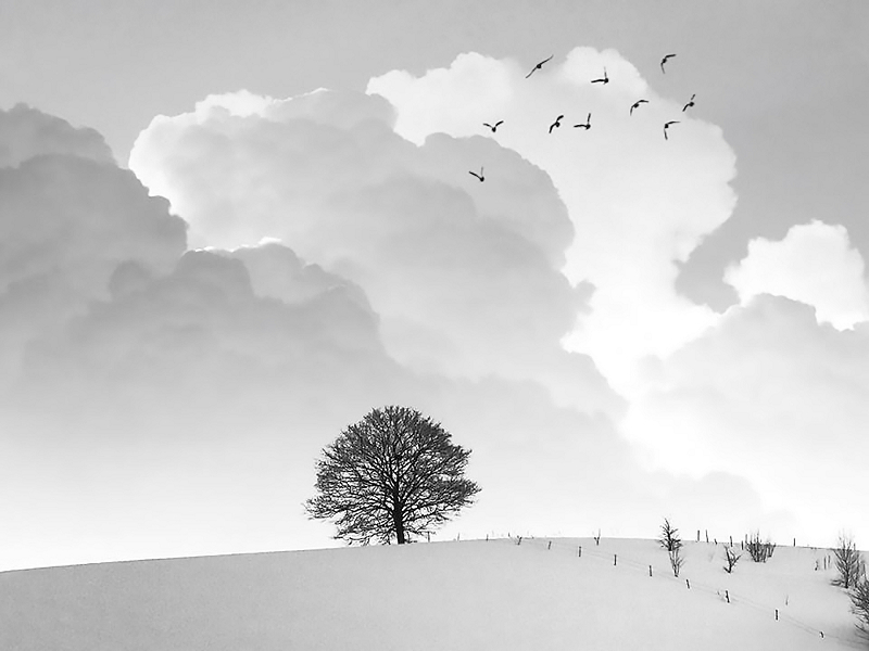 〈「靈。韻。點點」攝影展〉