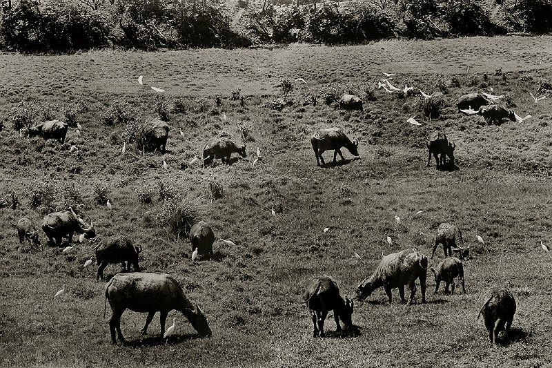 〈當決定的瞬間不再永恆－－-謝貴昌攝影回顧展〉