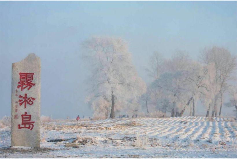 〈吉林霧淞在臺北下雪：鐘永和霧淞風景攝影展〉