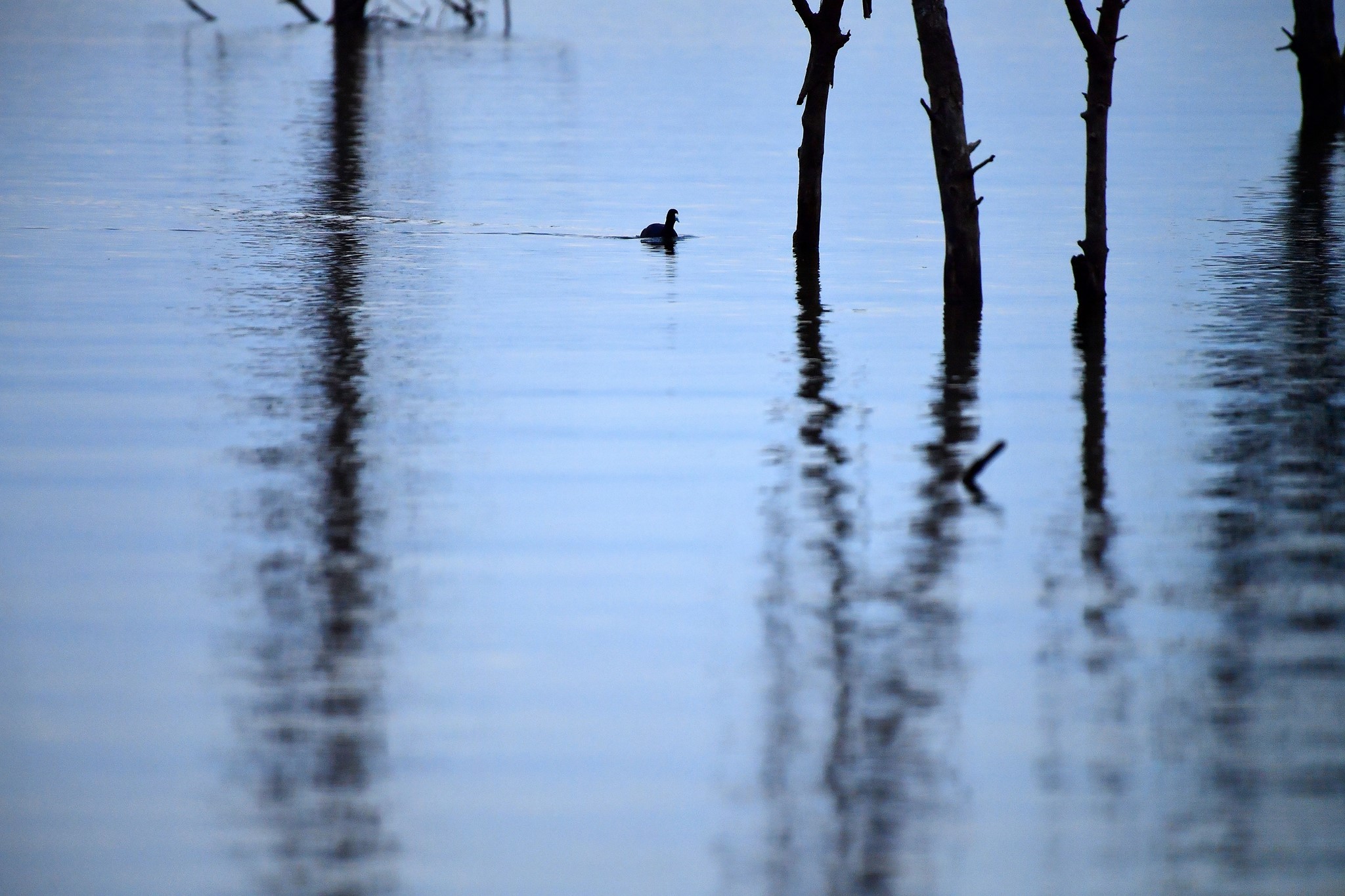 〈《動物園。外面》 攝影聯展〉