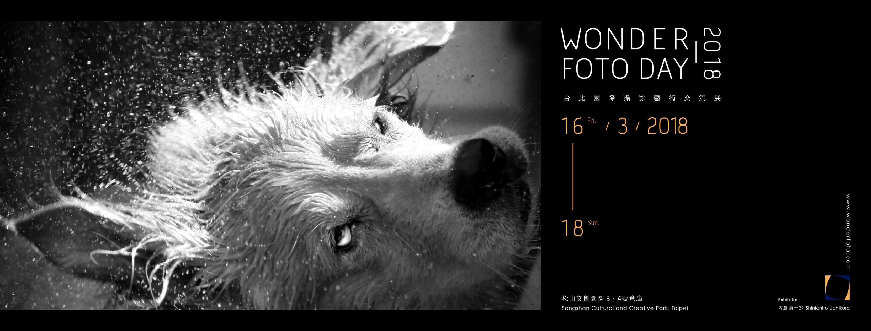 〈2018 WFD 台北國際攝影藝術交流展〉