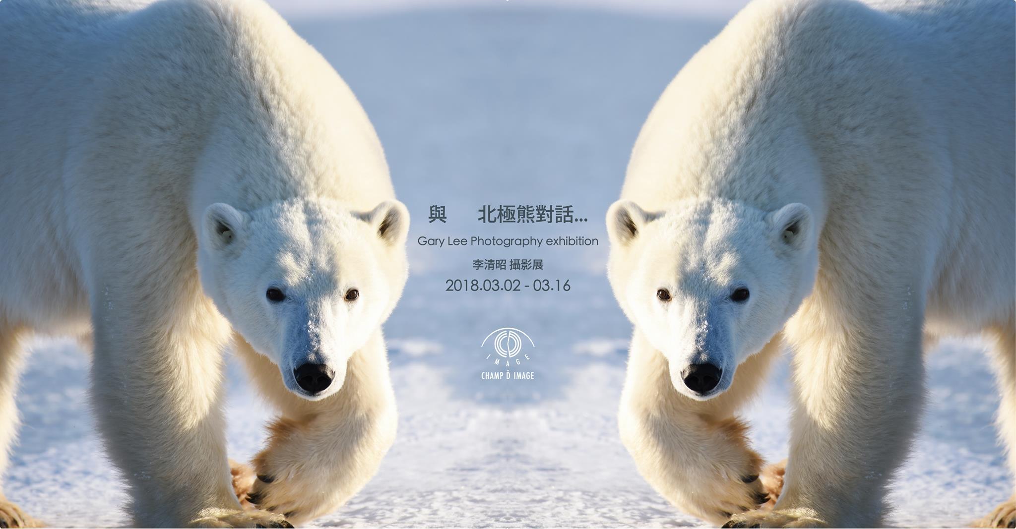  〈與北極熊對話｜李清昭攝影展〉