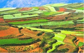 〈葉振武攝影美學個展：壯美畫布《東川紅土》〉