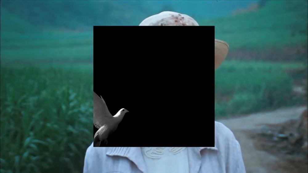 〈但親愛的，你幹嘛不自己寫你的歷史呢？〉