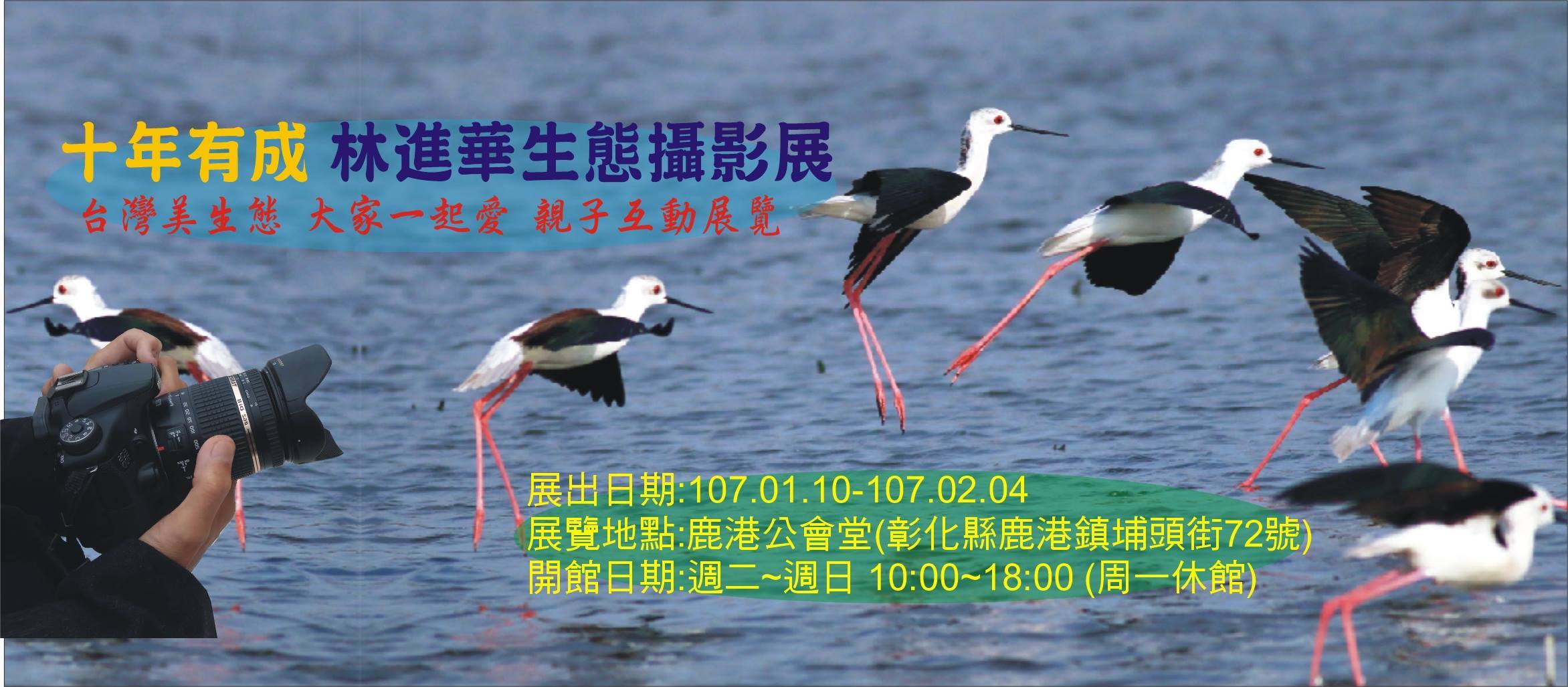 〈十年有成-林進華生態攝影展〉