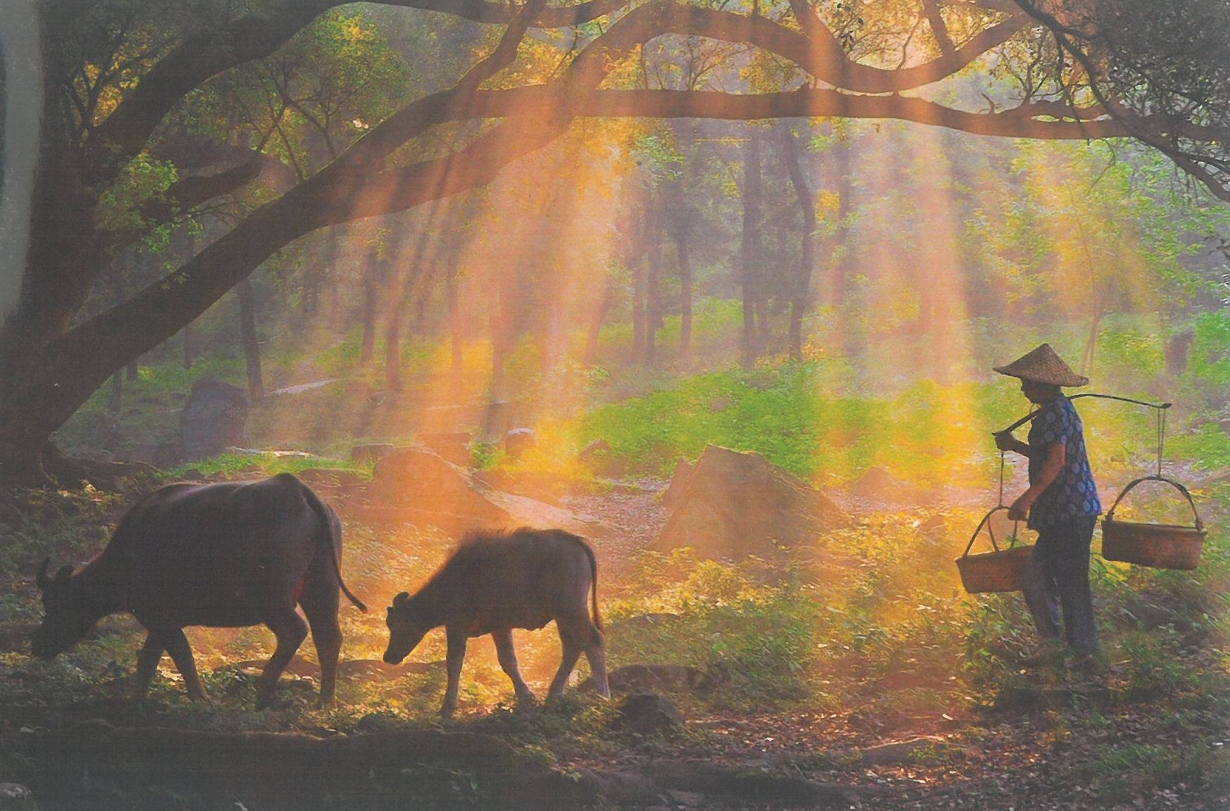 〈2017南投縣攝影展〉