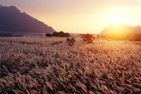 〈虎山盃攝影比賽成果展〉