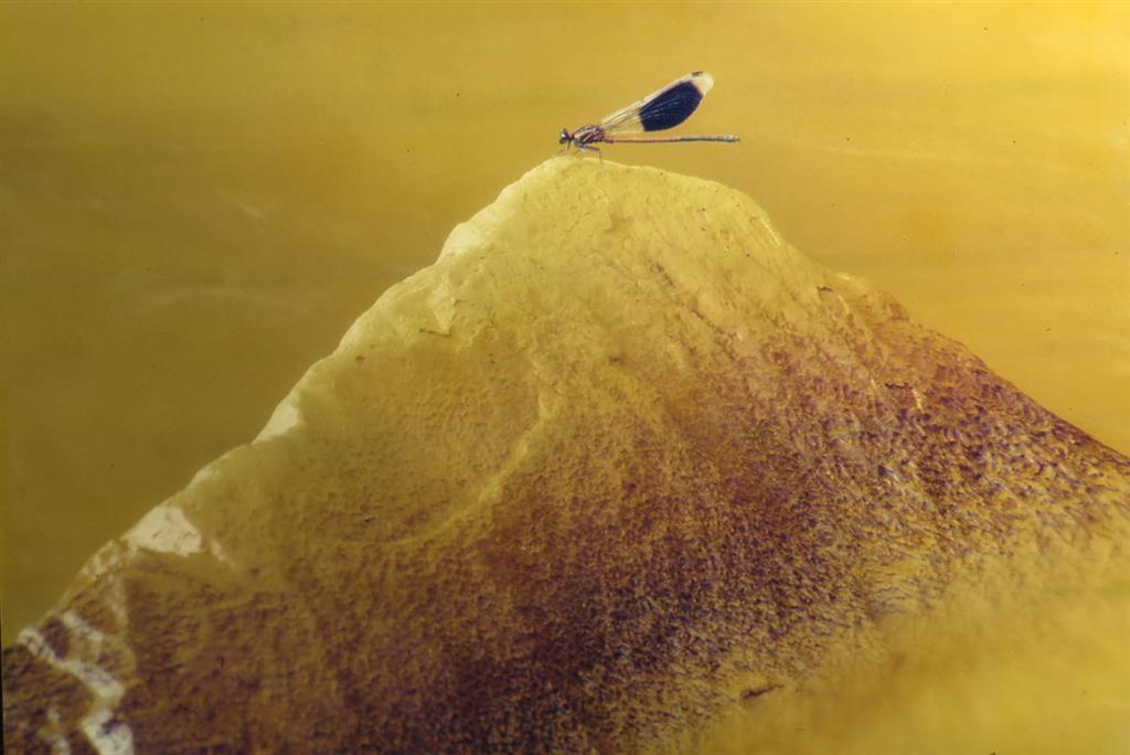 〈磺溪碧泉潺淙 沈啟源攝影個展〉