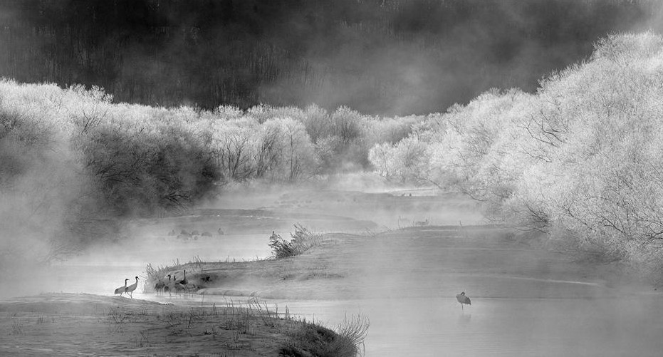 2014第四屆臺中國際攝影藝術展覽