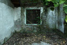 【關於一張照片】范曉嵐駐村計畫展覽 