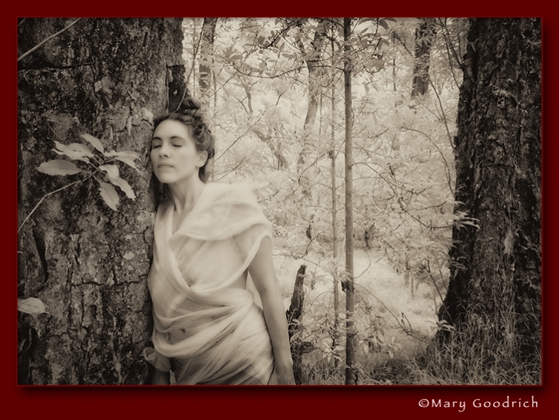 繽紛女聲－2014國際攝影展