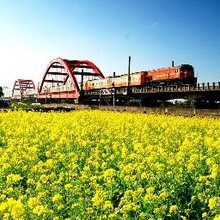 高雄市壽山攝影學會 祝建國百年&創會45週年會員攝影展