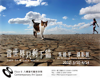 《當世界只剩下貓》吳毅平攝影展