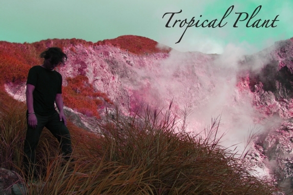 熱帶植物 - 提拉瓦特‧姆維萊錄像裝置  