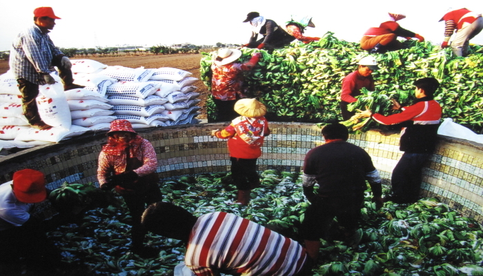 台灣勞工辛勤 －沈啟源攝影展