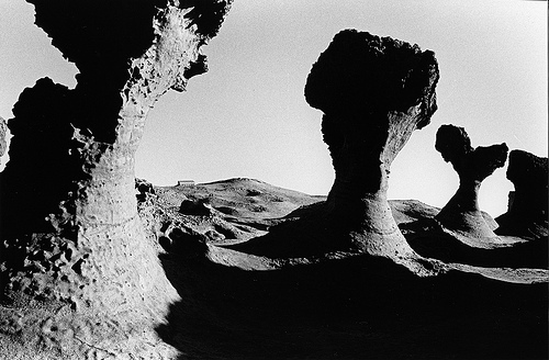 翁庭華生涯50周年特展-台灣東北角海域自然風貌系列