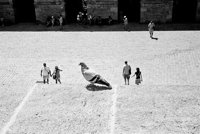 【學校咖啡館】Walking Day