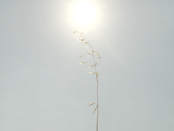 【華山創意園區】一時一地 曾憶城攝影展