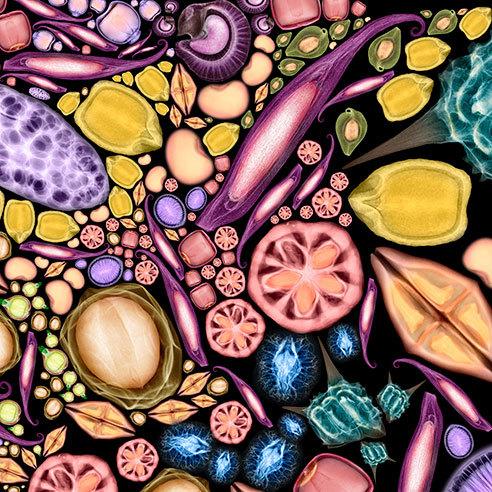 「驚豔‧新視野」科學攝影特展