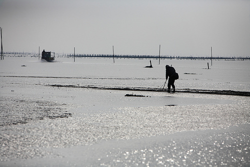 「溼地‧退潮‧真實凝望」潘小俠、柯金源、謝昇佑三人攝影聯展