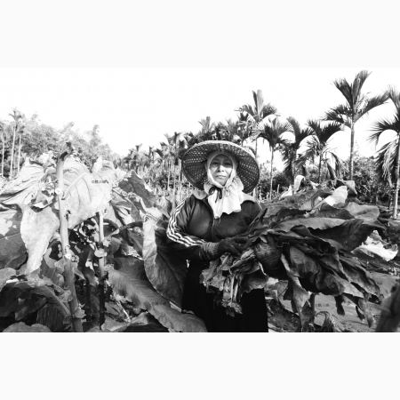 2010 第五屆數位島嶼攝影比賽    示範作品欣賞