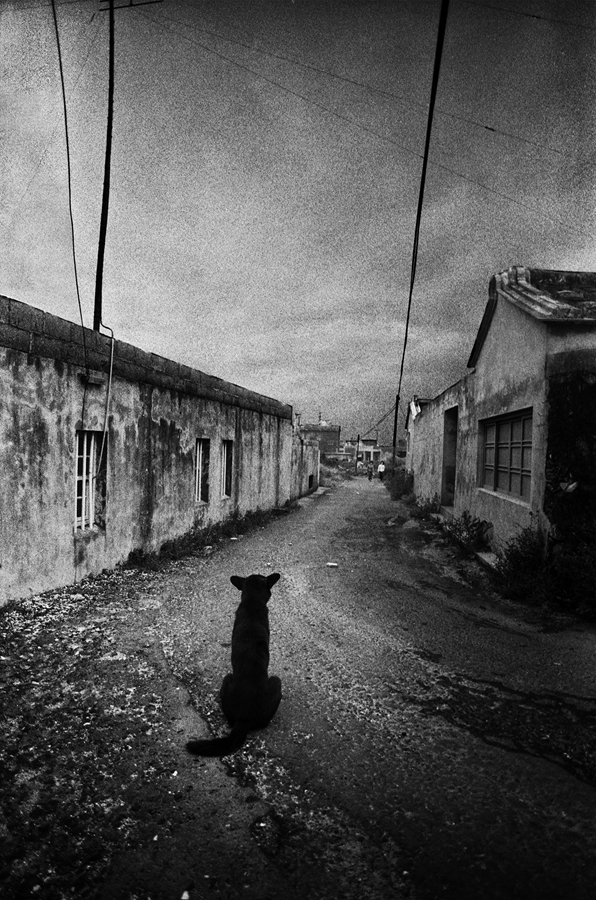 〈另一種目線—王信攝影展〉