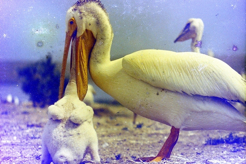 〈時空的見證者 - 余如季紀實攝影展〉