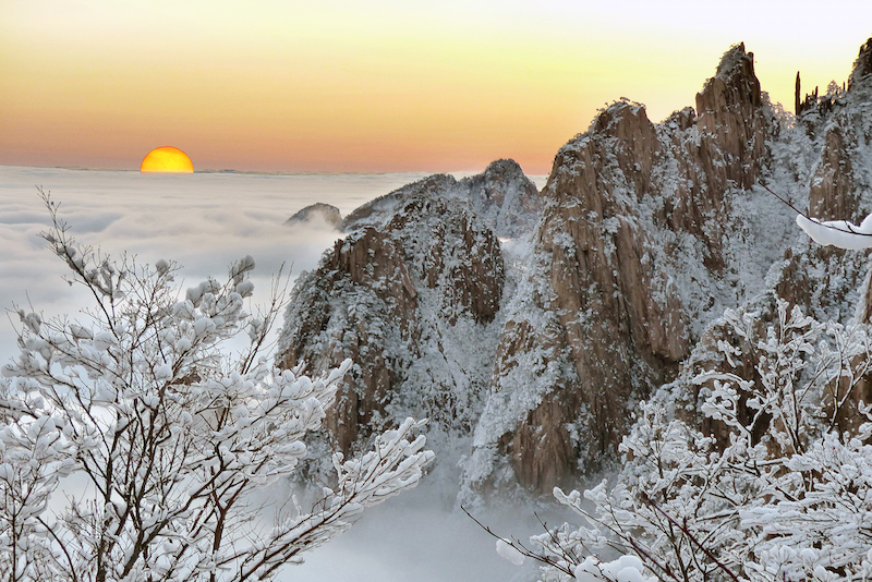 〈沈成柏畫意攝影展〉