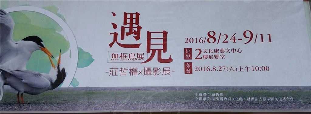 〈莊哲權【遇見─無框鳥展】攝影展〉