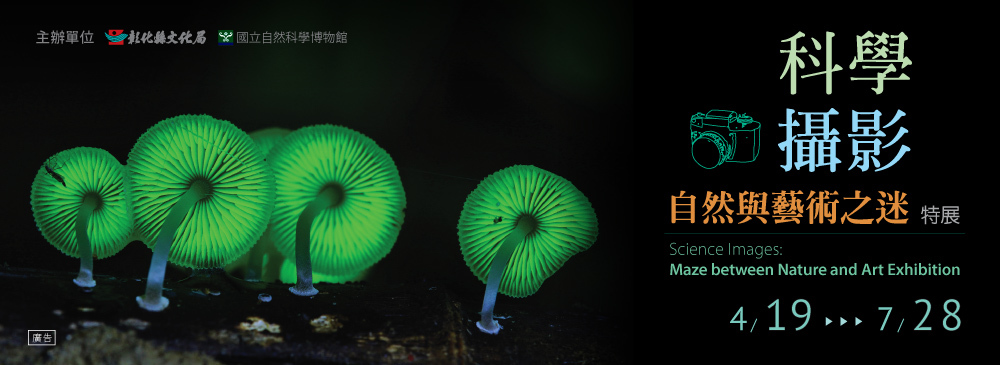 〈科學攝影：自然與藝術之迷〉
