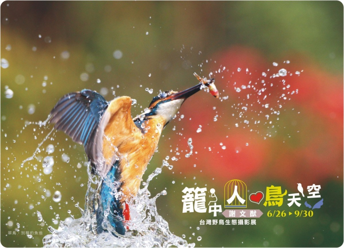 〈籠中人愛鳥天空〉謝文猷－臺灣野鳥生態攝影展