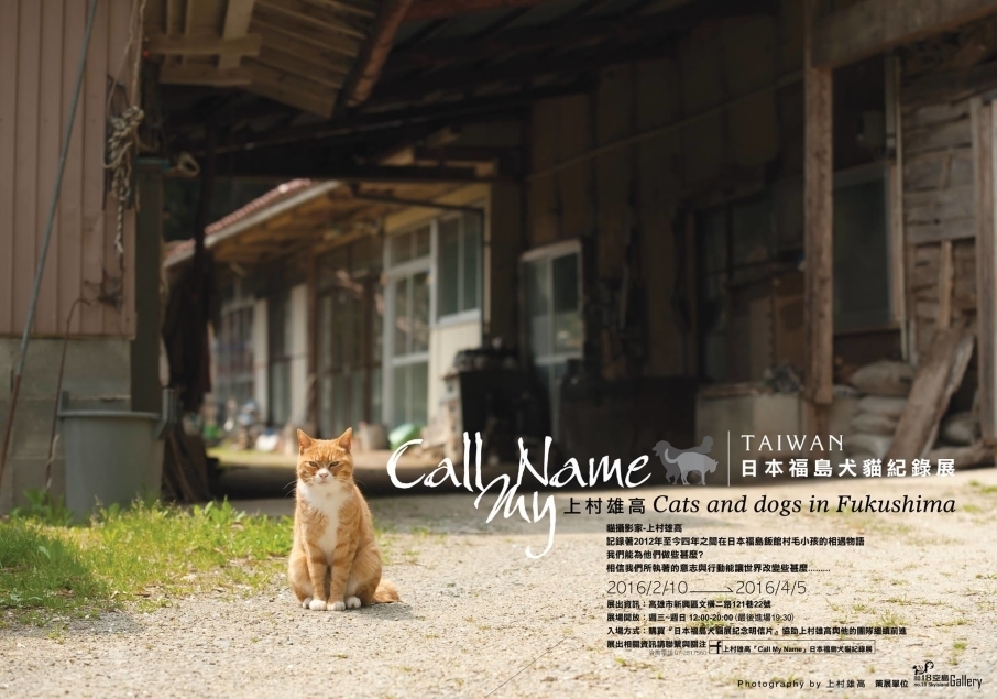 上村雄高「Call My Name」日本福島犬貓紀錄展