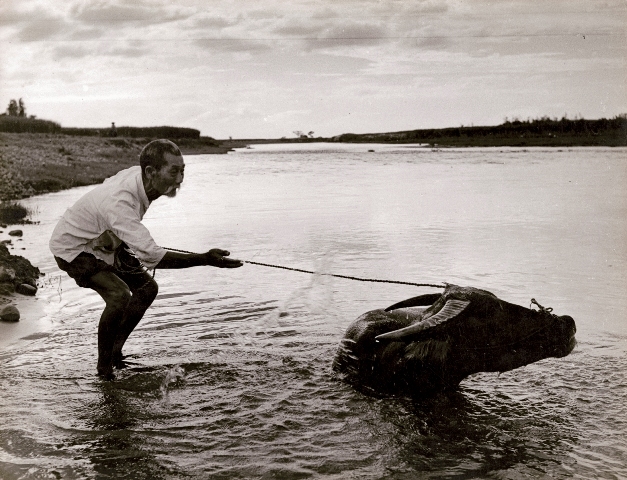 〈興旺臺灣影像八十載〉陳耿彬‧陳政雄父子攝影展