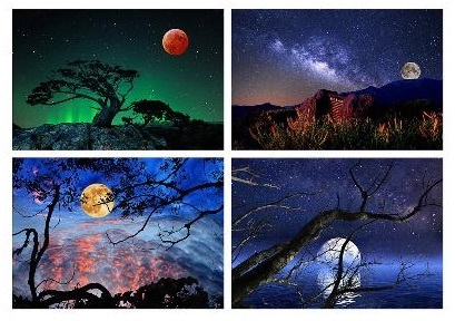 〈林建璋《行者無疆》&《綠袖子 極光幻想曲》攝影展〉