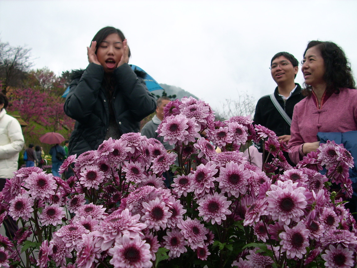 再現美麗島2007年數位�