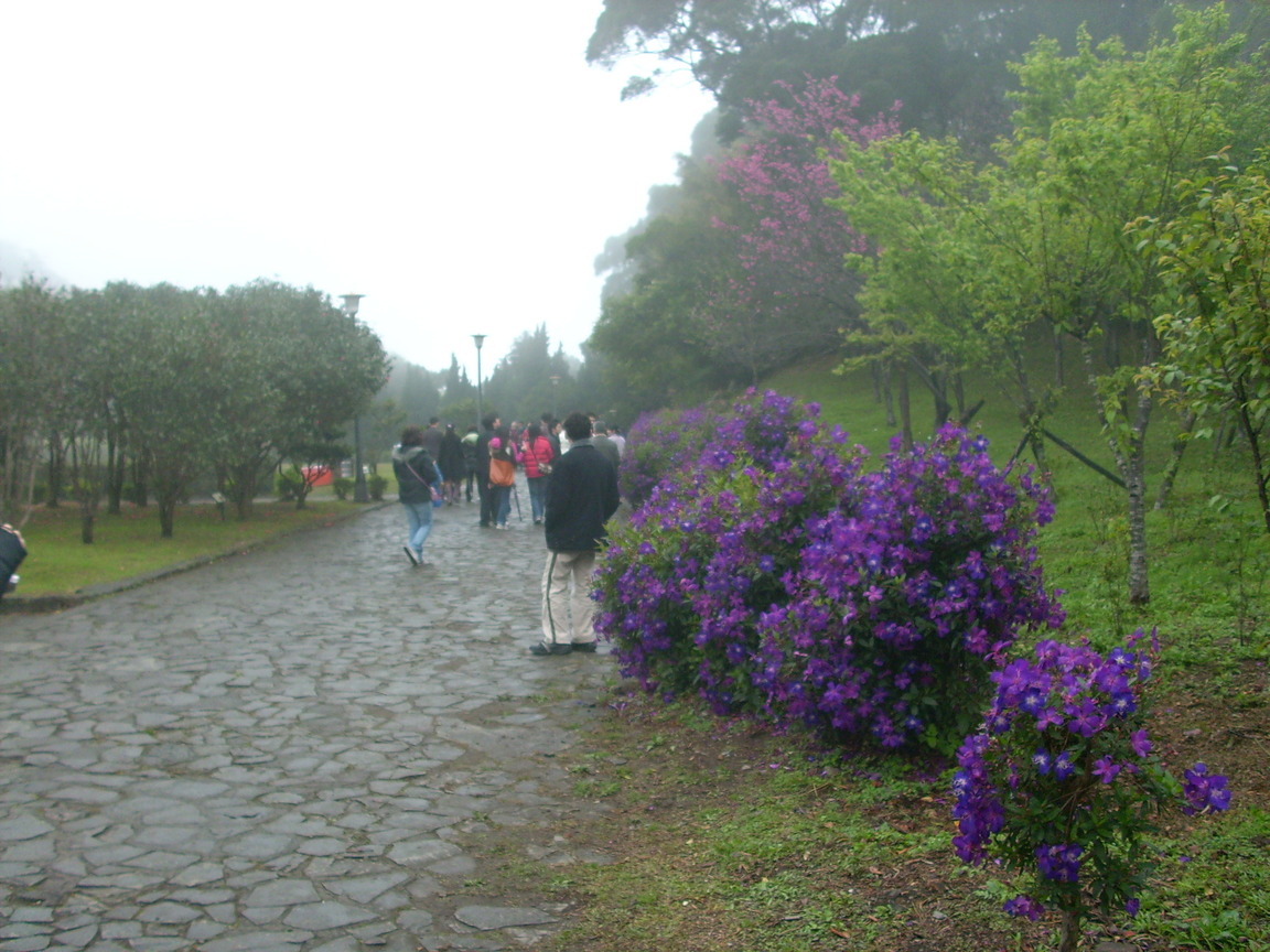 再現美麗島2007年數位�