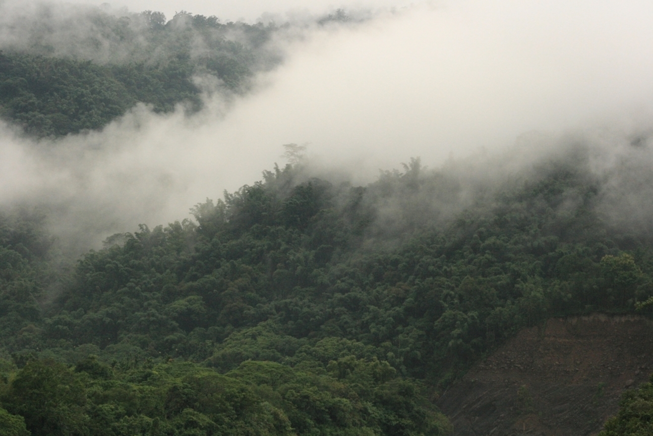 身在雲中不知處