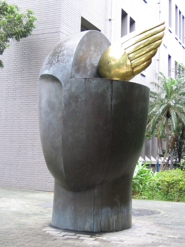 翔 soar