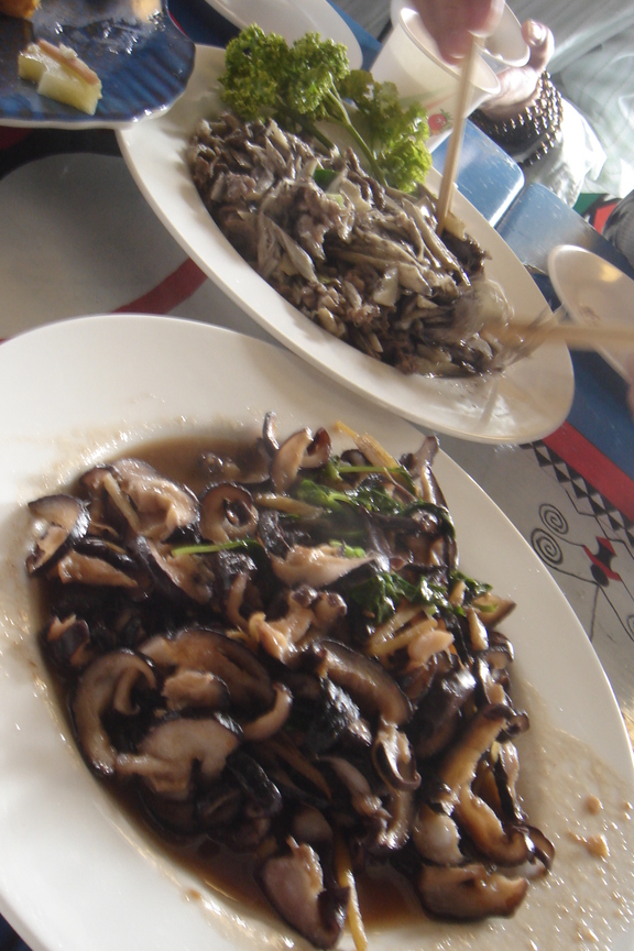 羊肉與海香菇