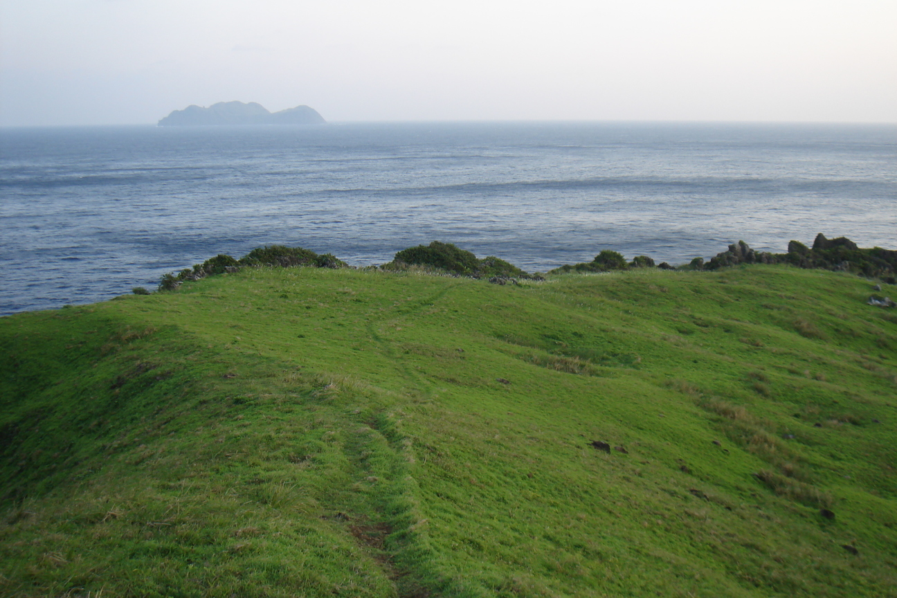 青青草原