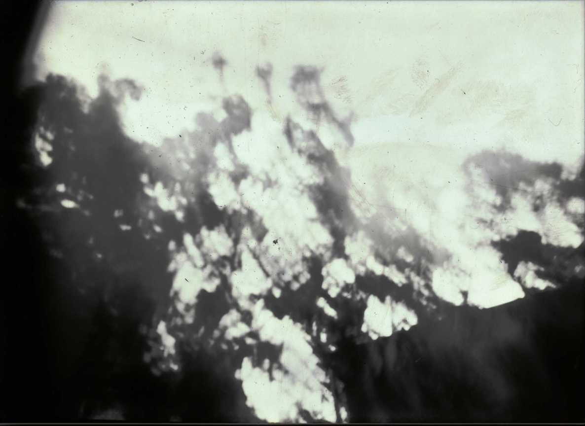 暗房拾光193