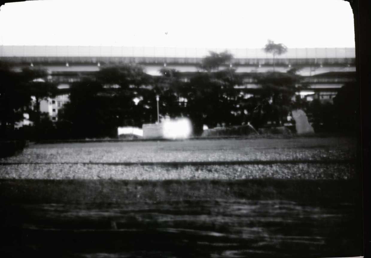 暗房拾光204