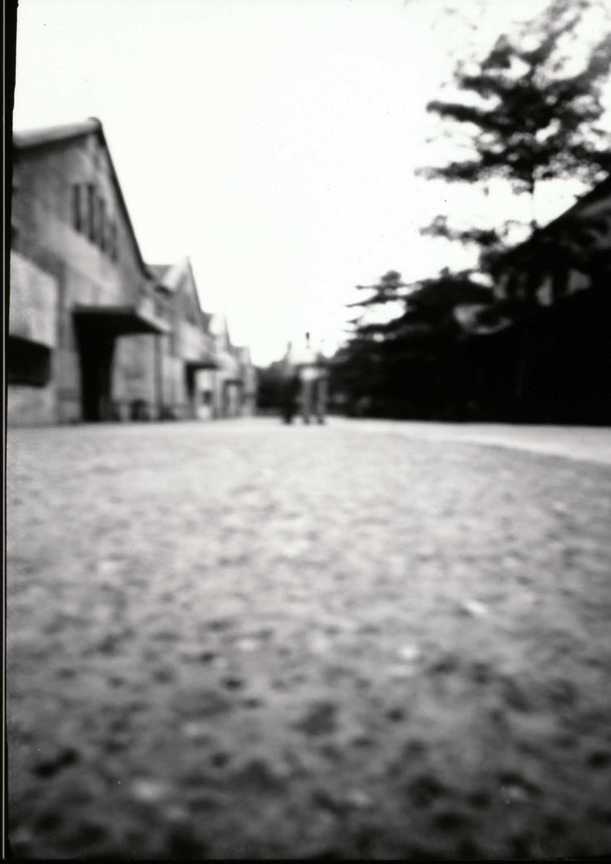 暗房拾光243
