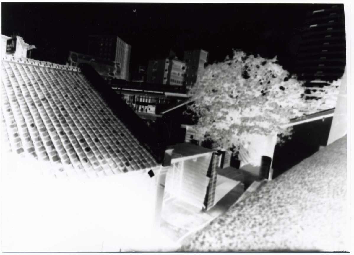 暗房拾光216