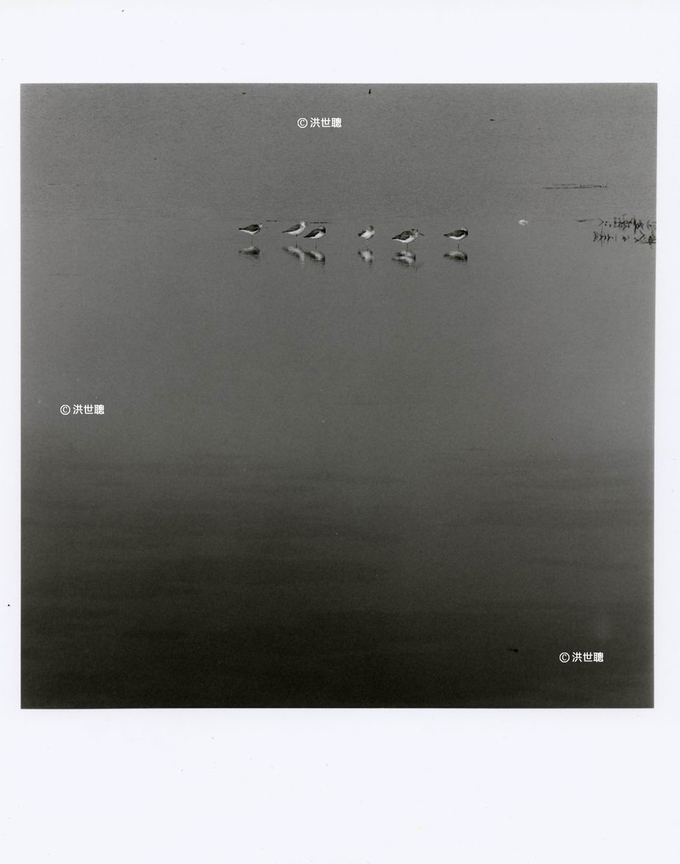 入默-水岸組曲-11