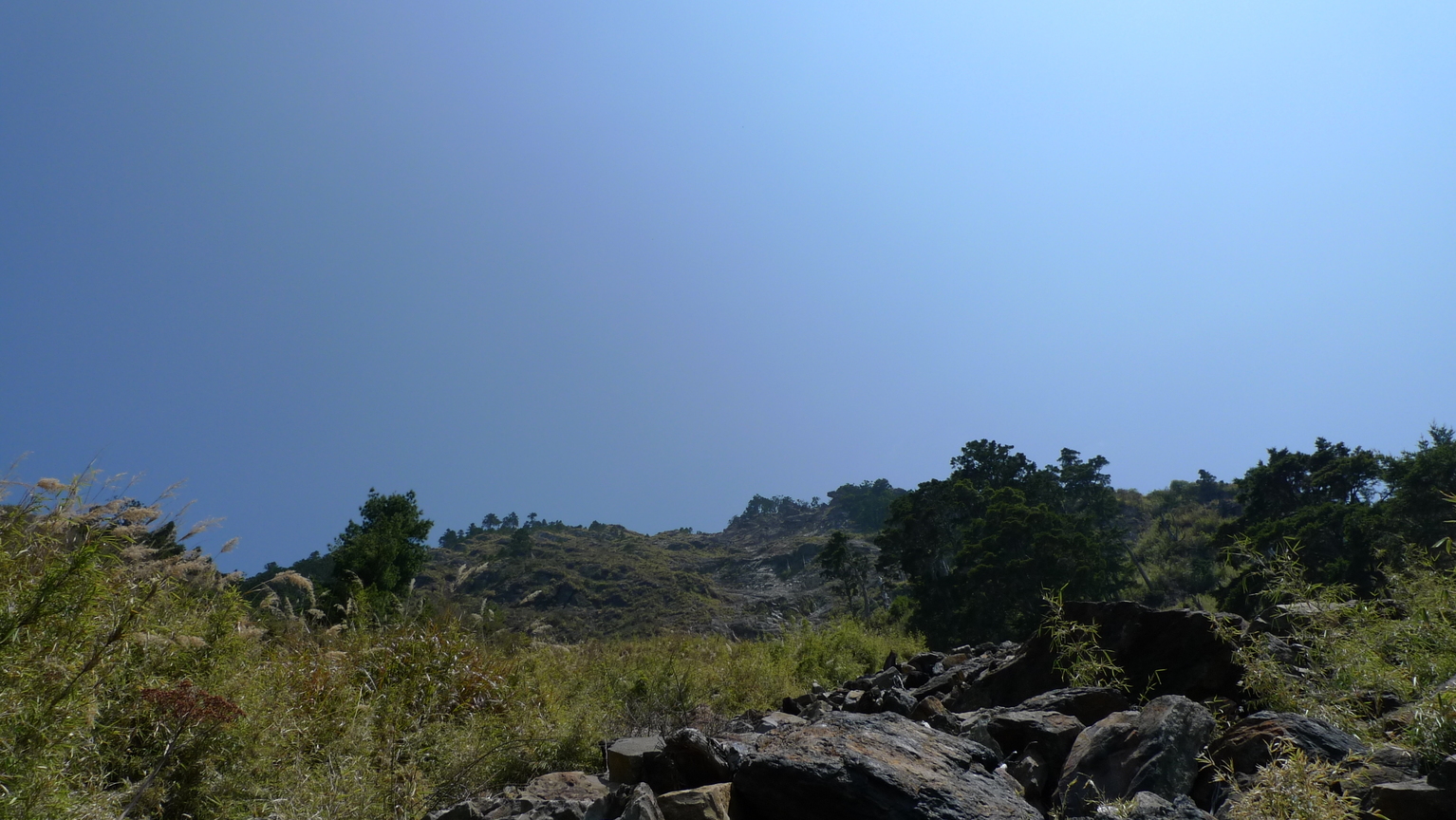 P1010949
