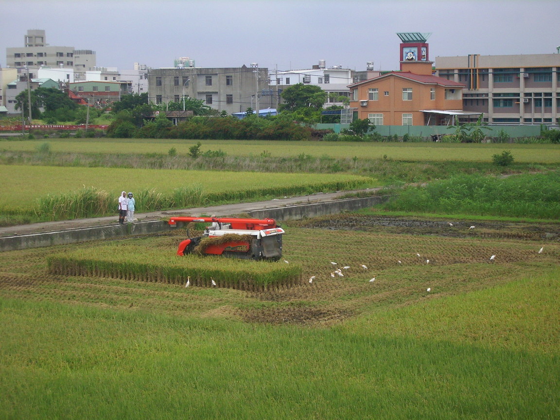 此時跟著他就沒錯了