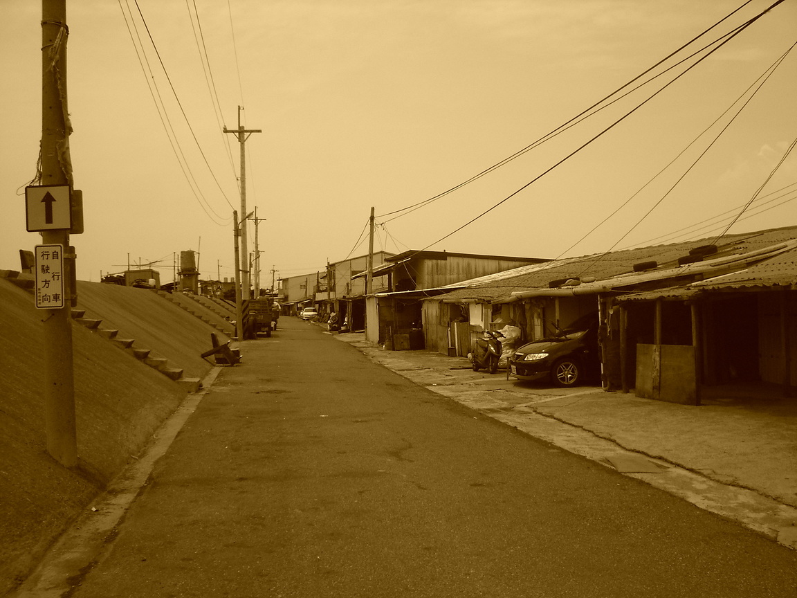 自行車道某處的泛黃意境